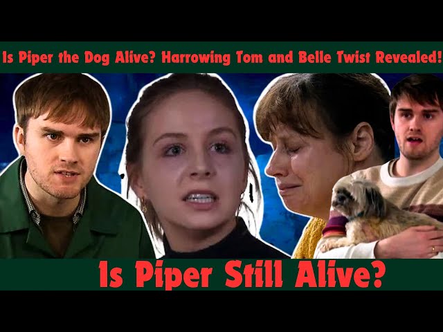 Breaking News! : Is Piper the Dog Alive or Dead? Emmerdale’s Harrowing Twist Leaves Fans Reeling!